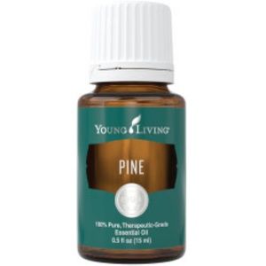 NEW Young Living Essential Oils PINE